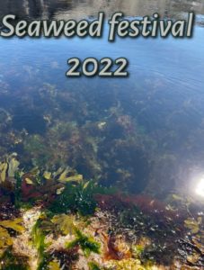 Seaweed festival 2022 Lindesnes fyr