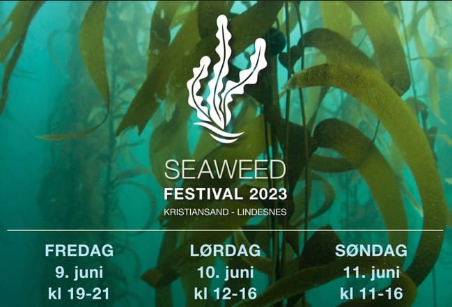 Seaweed-festivalen 2023 9.-11. juni