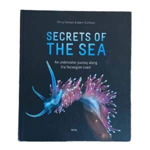 Secrets-of-the-sea